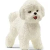 Schleich Bichon frisé –> Action Figures