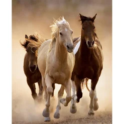 CLEMENTONI – 39168 – puzzle 1000 hqc running horses 70 x 50 cm> Puzzle Per Adulti|Puzzle 1000 Pezzi
