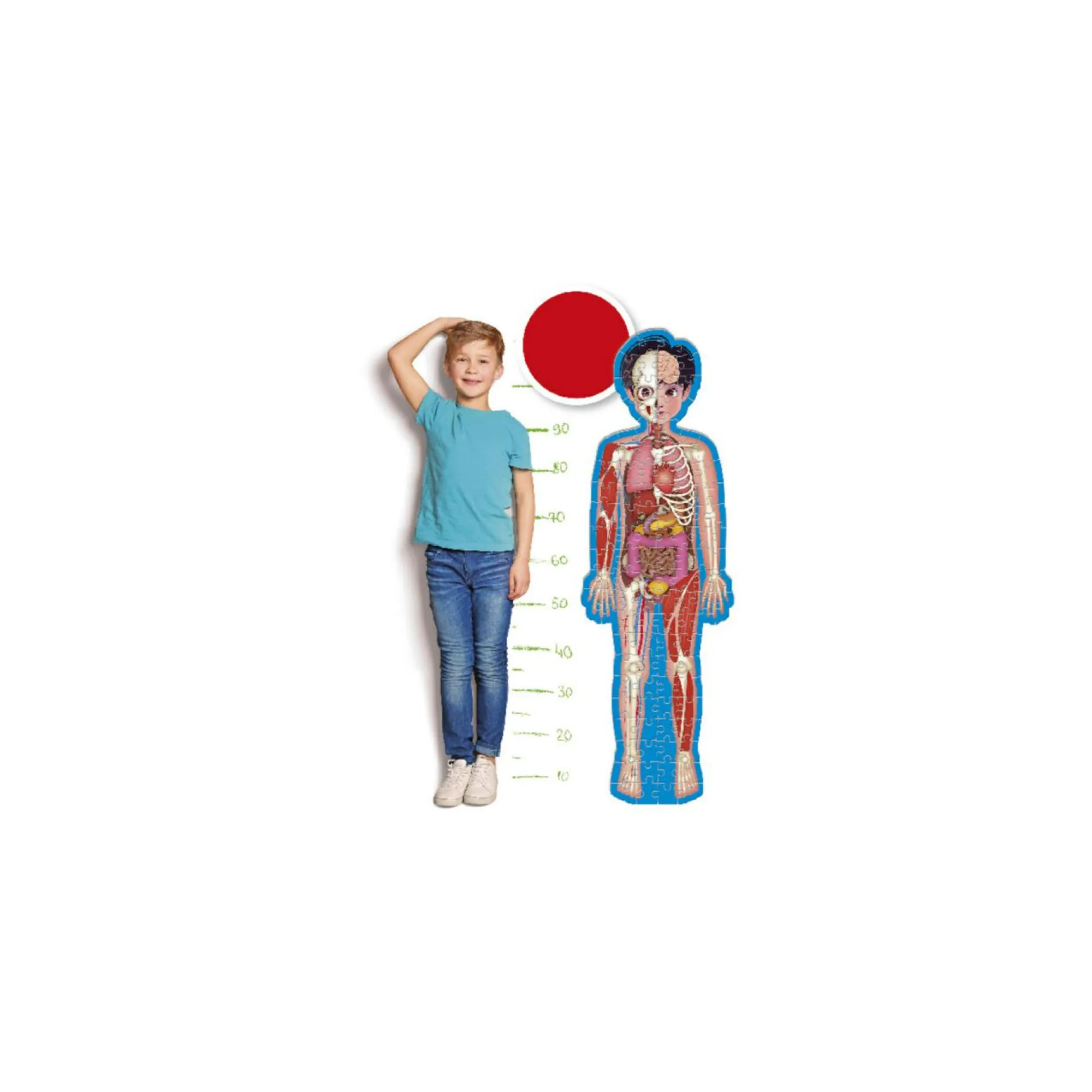 SAPIENTINO Clementoni – piu – corpo umano> Primi Apprendimenti