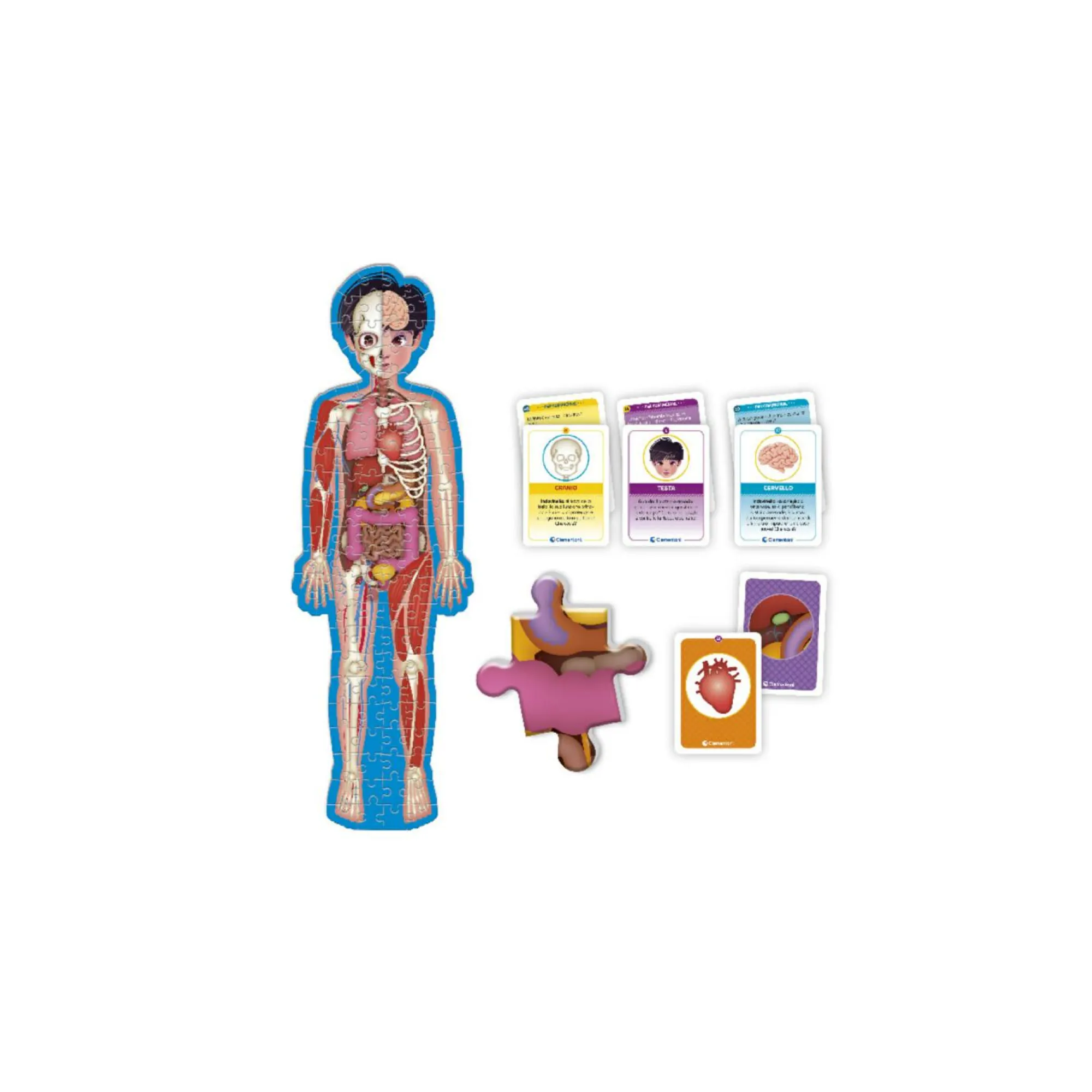 SAPIENTINO Clementoni – piu – corpo umano> Primi Apprendimenti