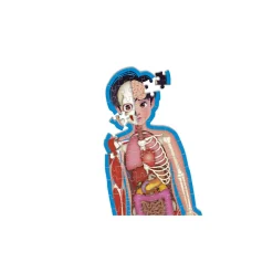 SAPIENTINO Clementoni – piu – corpo umano><noscript><img width=