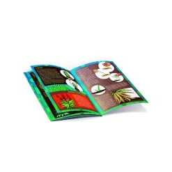 CLEMENTONI scienza & gioco botanica delle piante grasse 19422 – gioco educativo botanica><noscript><img width=