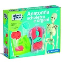 CLEMENTONI scienza & gioco anatomia scheletro e organi 19414 – kit educativo anatomia umana> Giochi Scientifici
