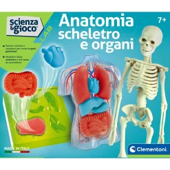 CLEMENTONI scienza & gioco anatomia scheletro e organi 19414 – kit educativo anatomia umana> Giochi Scientifici