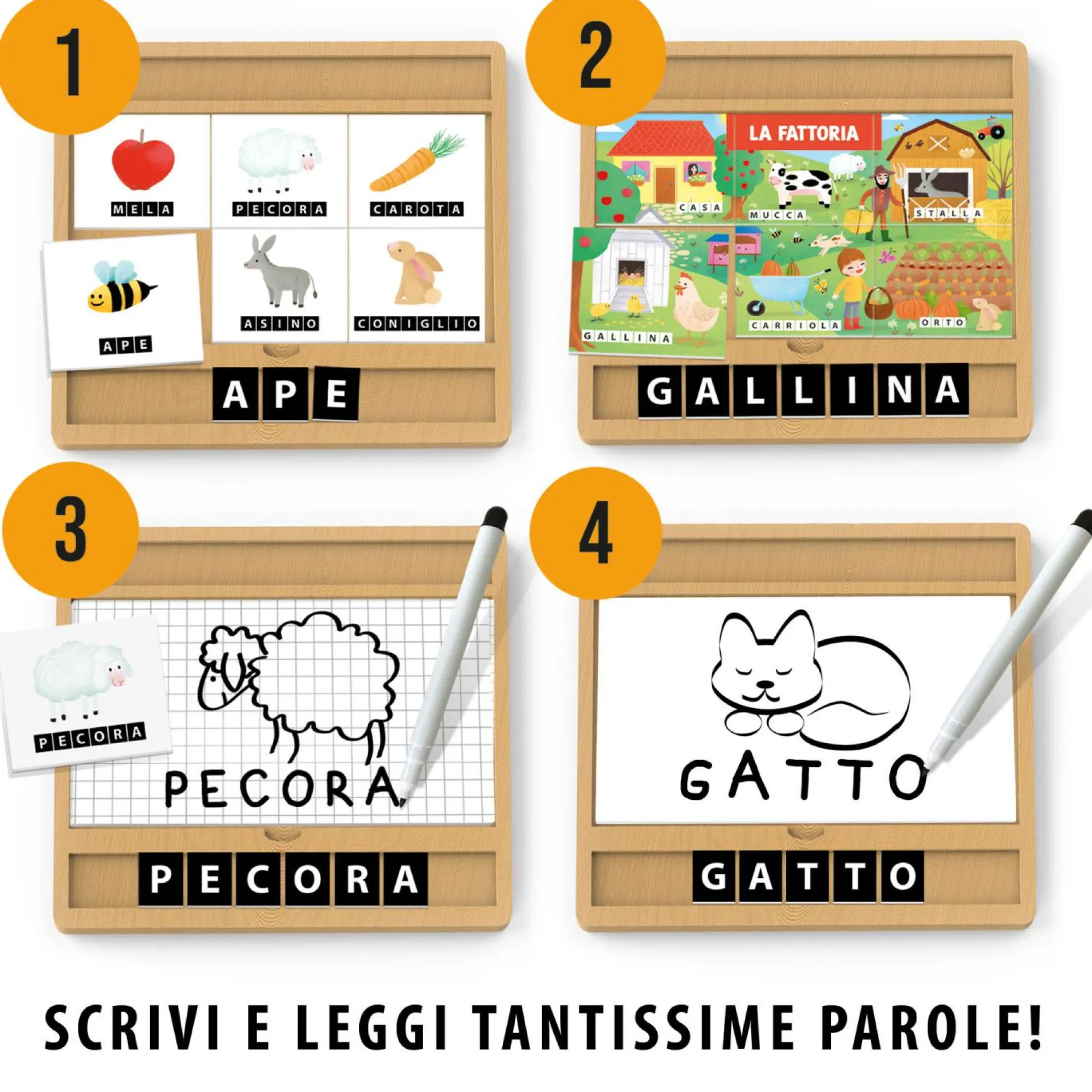 HEADU Enciclopedia dei piccoli montessori. scrivere, leggere e conoscere le parole. made in italy> Primi Apprendimenti