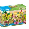 Playmobil Festa di compleanno al maneggio> Mondi Immaginari
