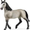 Schleich Giumenta cheval de selle francais –> Action Figures
