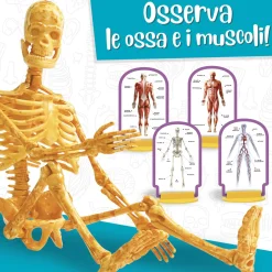 LISCIANI I’m a genius scienza pocket scopri il corpo umano><noscript><img width=