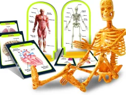 LISCIANI I’m a genius scopri il corpo umano> Giochi Scientifici