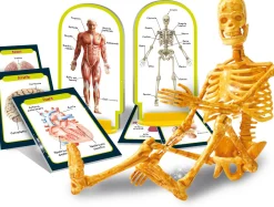 LISCIANI I’m a genius scopri il corpo umano><noscript><img width=