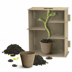 HEADU Labirinto delle piante. come orientare la crescita delle piante. s.t.e.m.6-10 anni><noscript><img width=