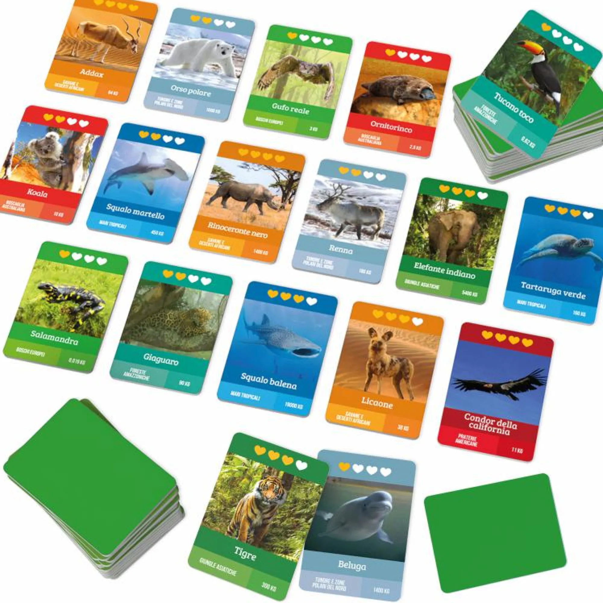 HEADU Ludic – missione natura> Giochi In Scatola Per Famiglia