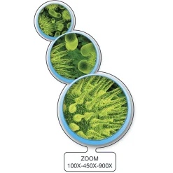 MICRO PLANET Microscopio smartconnectable –><noscript><img width=