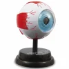 MICRO PLANET Occhio – modello anatomico in 3d> Giochi Scientifici