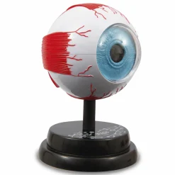 MICRO PLANET Occhio – modello anatomico in 3d> Giochi Scientifici