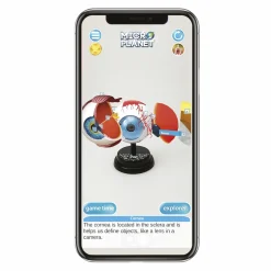 MICRO PLANET Occhio – modello anatomico in 3d><noscript><img width=