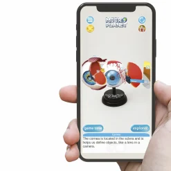 MICRO PLANET Occhio – modello anatomico in 3d><noscript><img width=