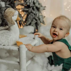 Bunnies By The Bay Peluche avery the aviator snowgoose><noscript><img width=