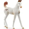 Schleich Puledro marwari –> Action Figures