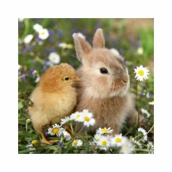 RAVENSBURGER 3 puzzle 49 pezzi – teneri coniglietti><noscript><img width=