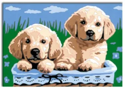 RAVENSBURGER creart per bambini, kit per dipingere con i numeri, 7+, serie e, cani retriever> Kit Artistici E Pittura