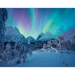 RAVENSBURGER puzzle spettacolo dell’artico – 1500 pezzi – magia del polo 80x60cm><noscript><img width=