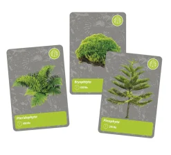 Scienza e Gioco Storia della vita sulla terra><noscript><img width=