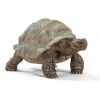 Schleich Tartaruga gigante –> Action Figures