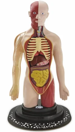 MICRO PLANET Torso umano> Giochi Scientifici