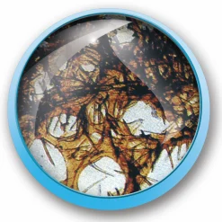 MICRO PLANET Valigetta microscopio 1200x> Giochi Scientifici